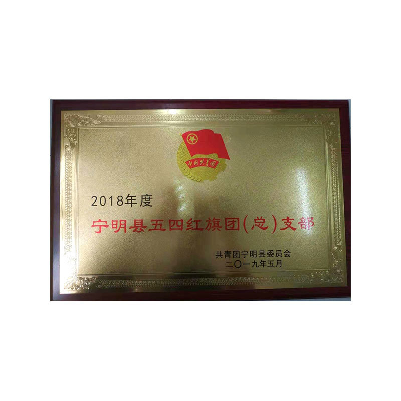 宁明县五四五红旗团(总)支部 宁明县五四五红旗团(总)支部
